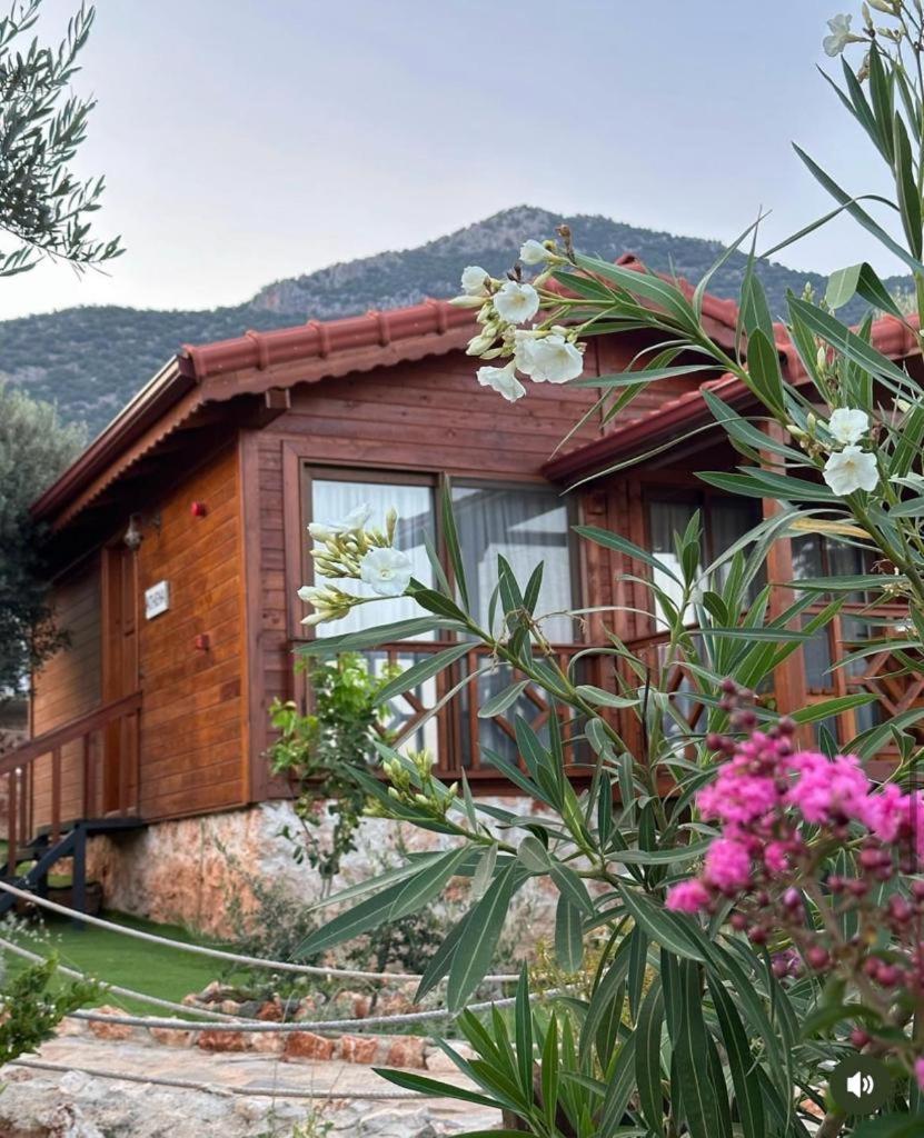 كاس Doganin Ruhu Hotel & Bungalow المظهر الخارجي الصورة