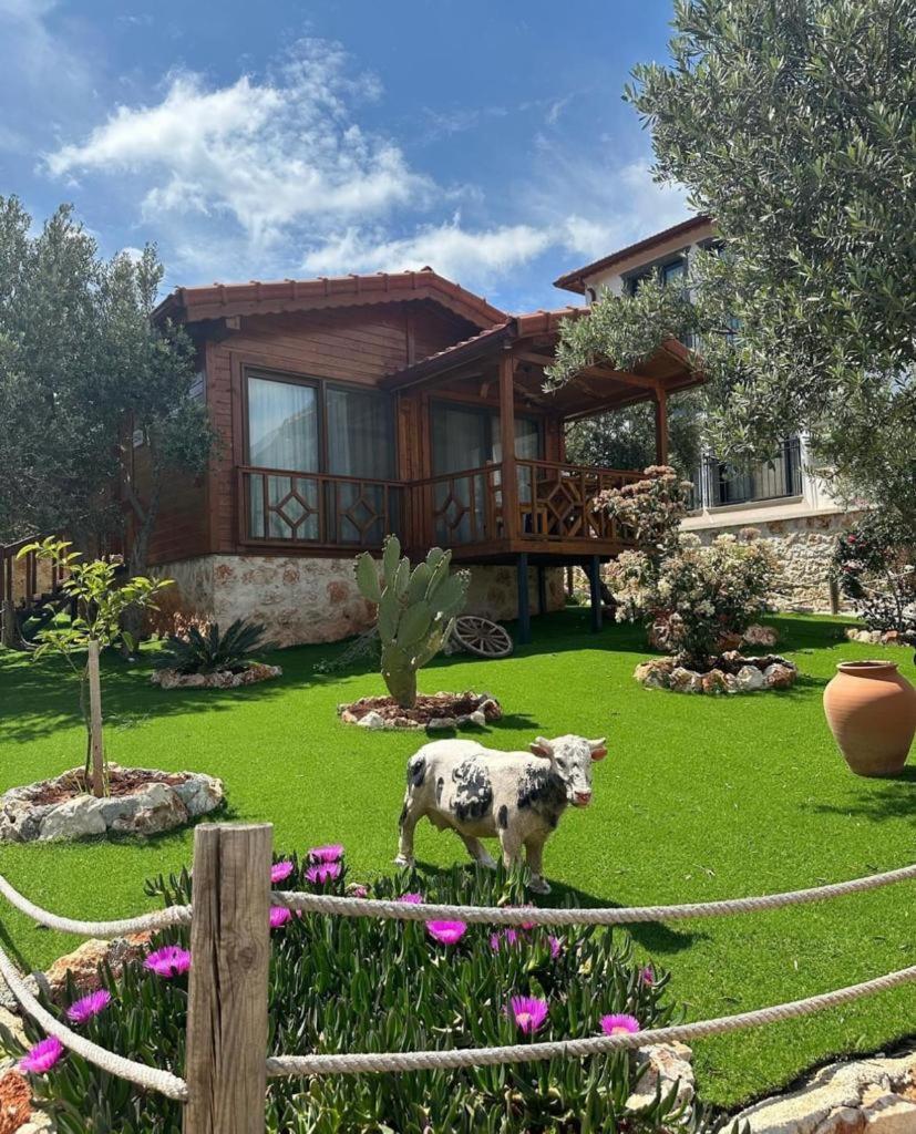 كاس Doganin Ruhu Hotel & Bungalow المظهر الخارجي الصورة