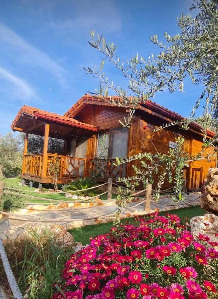 كاس Doganin Ruhu Hotel & Bungalow المظهر الخارجي الصورة