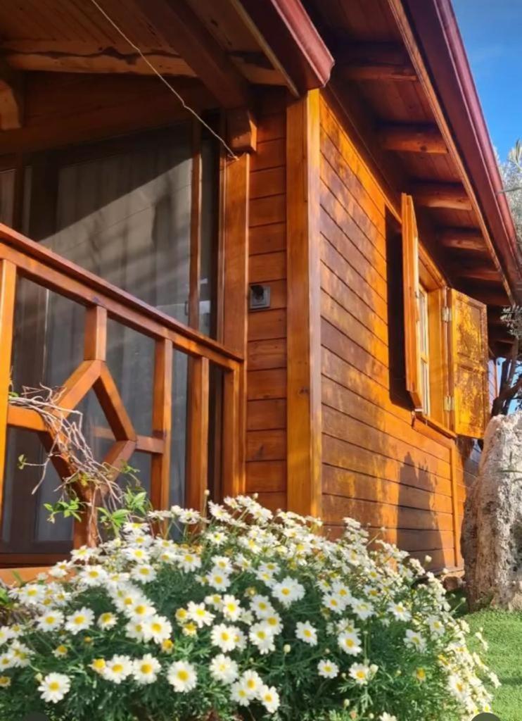 كاس Doganin Ruhu Hotel & Bungalow المظهر الخارجي الصورة
